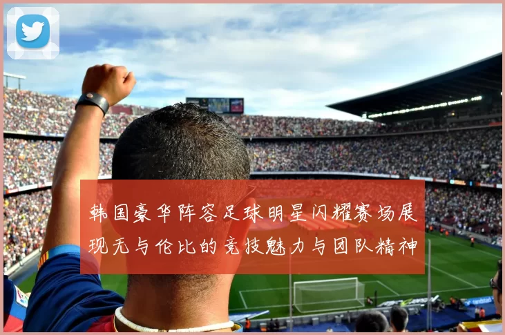 韩国豪华阵容足球明星闪耀赛场展现无与伦比的竞技魅力与团队精神