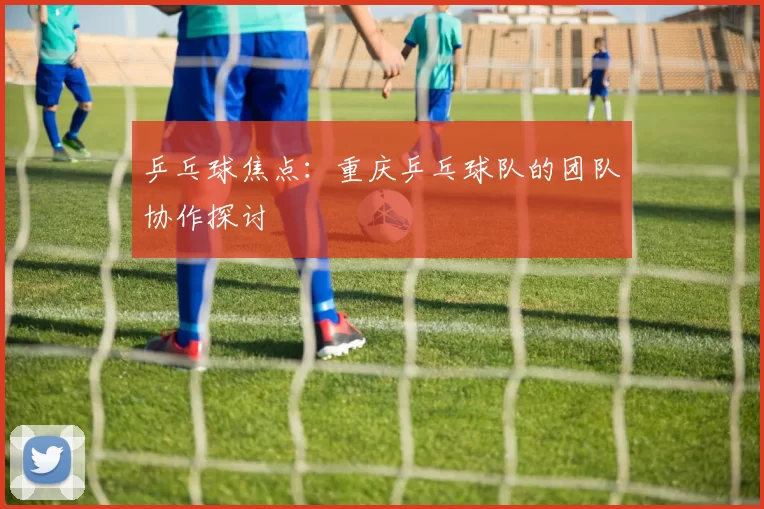 乒乓球焦点：重庆乒乓球队的团队协作探讨