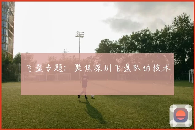 飞盘专题：聚焦深圳飞盘队的技术