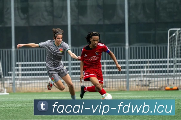 MK体育发展历程